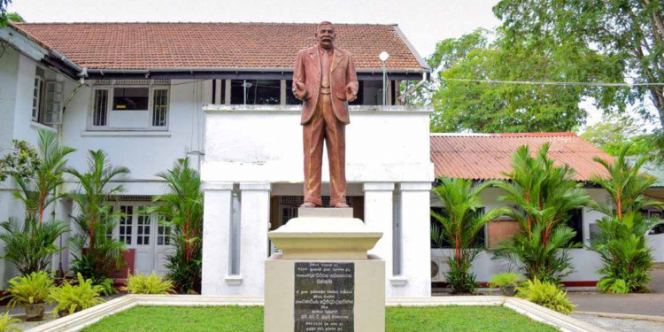 කූඹි කැළේ ඩී.එස්.ට දැන් 56ක්!