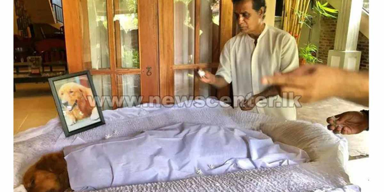 මේවා විහිලු නෙමෙයි! මේවා ජෝක්ස් නෙමෙයි! මේ බන්දුගෙ ගෙදර ඇත්තටම වෙච්ච මාර දෙයක්! PHOTOS