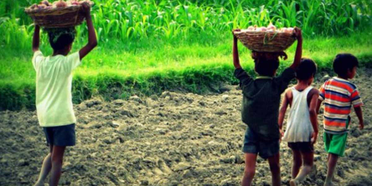 අම්මලා තාත්තලා කම්කරු රස්සාවල! ගෙවල්වල කන්න බොන්න නෑ! අගහිඟකම් නිසා ඉස්කෝලෙ යන්නත් බෑ! වෙන්නප්පුවේ ළමයි තුන්දෙනෙක් රස්සා හොයාගෙන ගෙවල්වලින් පැනලා ගිහින්! දවස් 4ක් ‌වෙලත් තාම කිසිම තොරතුරකුත් නෑ!