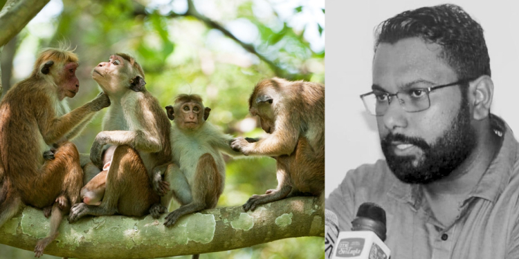 චීනය එක පාරටම අපේ රිළව් ලක්ෂයක් ගන්න යන්නේ ඇයි? ඇත්ත කතාව එළියට එයි!