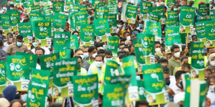 රනිල්-රාජපක්ෂලාගේ සපත්තු පොලිෂ් කරන සජබෙ මන්ත්‍රීවරුන්ගේ ‘පොලිසි’ එක! උපුල් ජෝශප් ප්‍රනාන්දුගේ ගුරුදා විග්‍රහය!