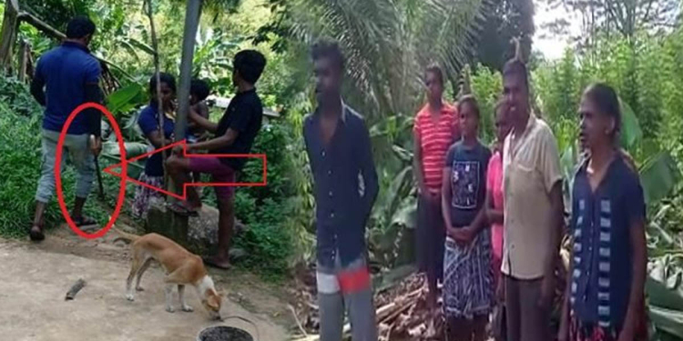 ගමේ චණ්ඩි ඇවිත් මොරවක දෙමළ මිනිස්සු හිටවපු කෙසෙල් ගස් කපලා දමයි! පොලිසිය මොනවත් කරලත් නෑ! VIDEO I Sri Lanka Latest News