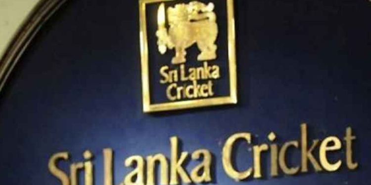 ක්‍රිකට් ගහන්න පුලුවන් තරුණියන්ට ක්‍රිකට් බෝඩ් එකෙන් සුපිරි චාන්ස් එකක්! I Sri Lanka Latest News