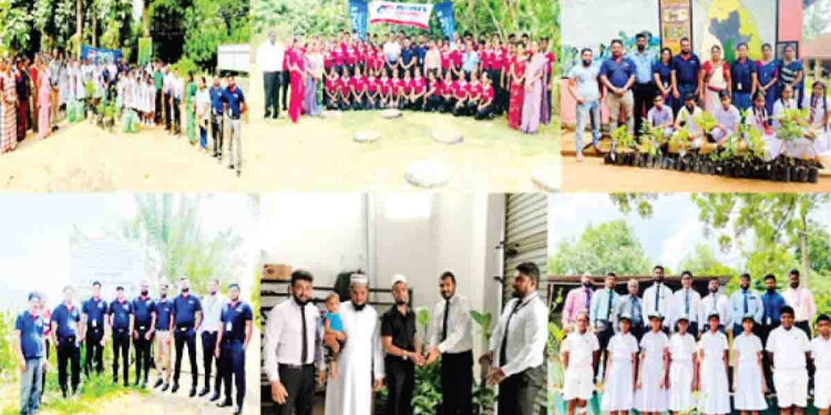 Sri Lanka Latest News