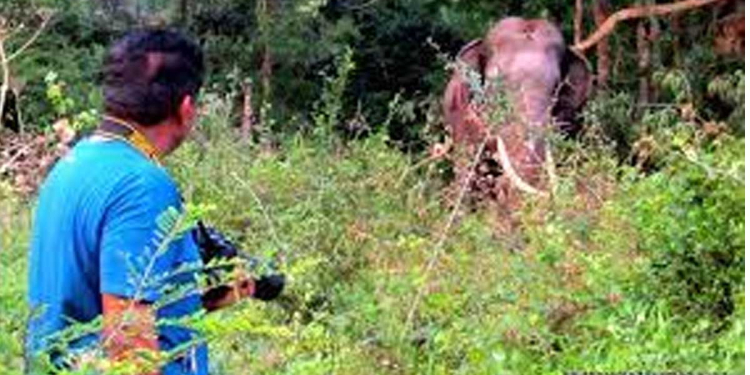 අලි ප්‍රශ්නයක් සජිත් පාර්ලිමේන්තුවට අරන් එයි! සල්ලි නැත්නම් සල්ලි හොයන විදිහත් කියලා දෙයි! ඕනෙ නම් උදව් කරන්නම් කියලත් කියයි! VIDEO I Sri Lanka Latest News