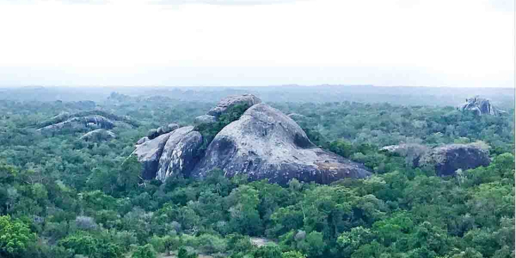 Sri Lanka Latest News
