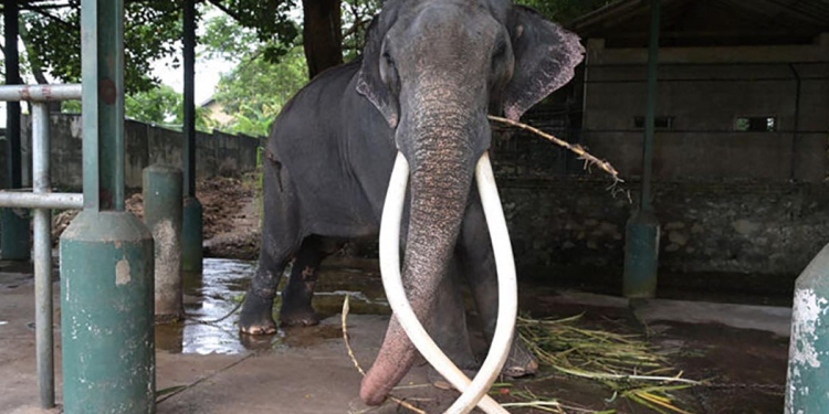 අවුරුදු 21ක් ලංකාවෙ දහදුක් විඳපු මුතුරාජාගේ සංවේදී කතාව I VIDEO I Sri Lanka Latest News