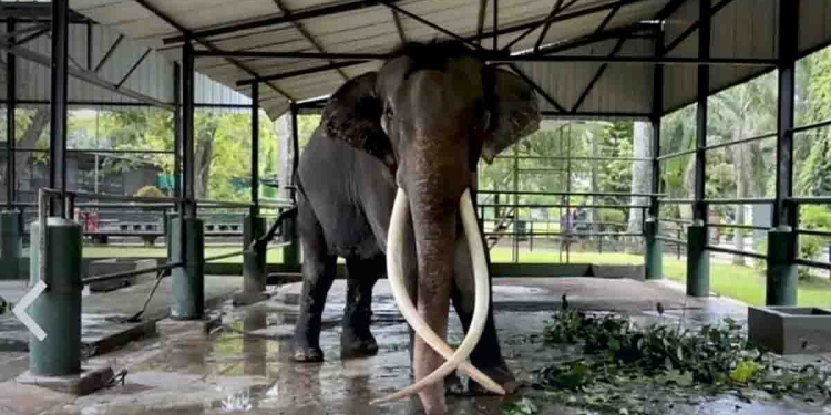 Sri Lanka Latest News
