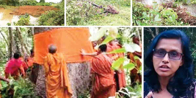 Sri Lanka Latest News