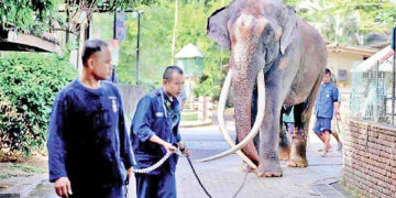 Sri Lanka Latest News