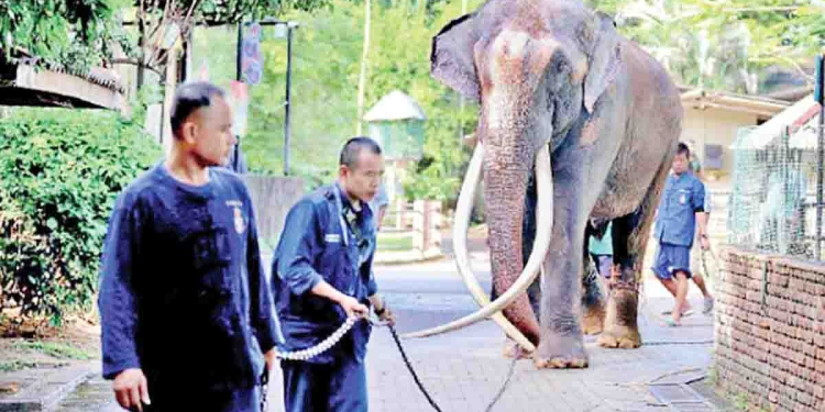 Sri Lanka Latest News