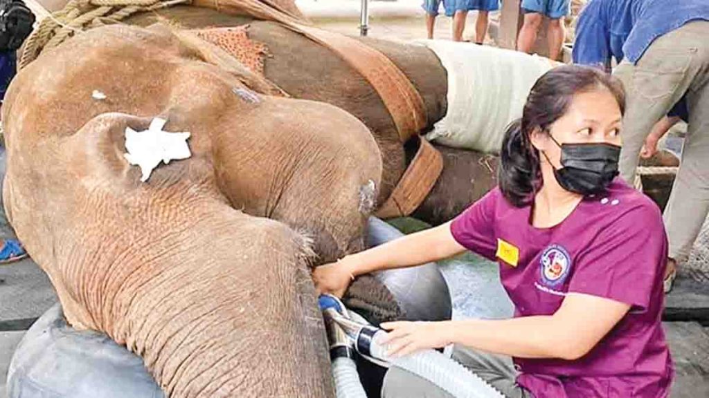 Sri Lanka Latest News