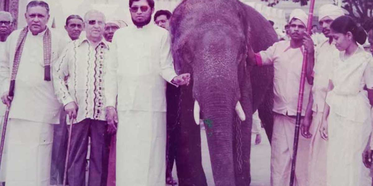 තායිලන්තය දළදා මාළිගාවට පූජා  ‘තායි රාජා’ ඉල්ලුවොත් මම නඩු දානවා! හිටපු දියවඩන නිළමේ නෙරංජන් විජේරත්න ඇතා වෙනුවෙන් පෙනී සිටී! I Sri Lanka Latest News