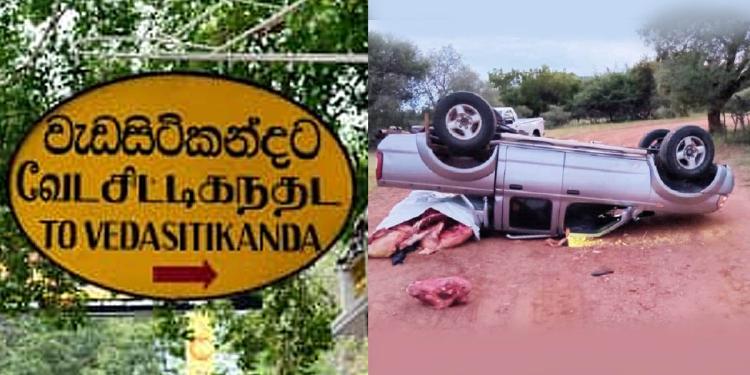 වැඩසිටි කන්දෙදී කැබ් රථයක් පෙරළෙයි !