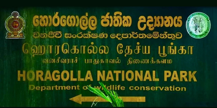 රුසියානු සංචාරක යුවලකට මානුෂිකත්වයේ දෑත දිගුකළ හොරගොල්ලේ වනජීවී නිලධාරීන්! Sri Lanka Latest News