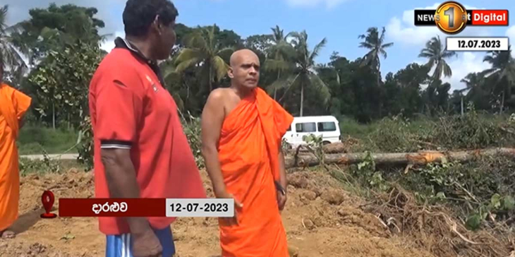 පඬු කරඳ ගහ ‘මහණ’ කළ හිමියන් දාරළුව ගමට ගිහින් ගහට කරපු විනාසය දැකබලා ගනී! බන්දුල ඇතුලු කැබිනට් එකම කර ඇත්තේ බන්ධනාගාරගත කළ හැකි නීතිමය වරදක්! VIDEO I Sri Lanka Latest News