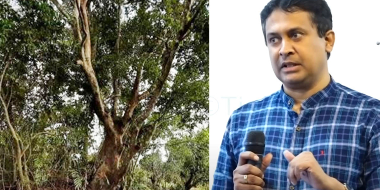 අතිදුර්ලභ පඬු කරඳ ගස කපාදැමීම අපරාධයක් – තිස්ස ජනනායක I VIDEO I Sri Lanka Latest News