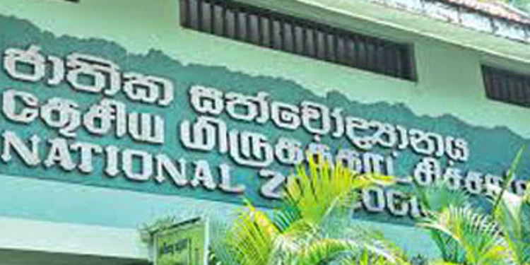 වද දීපු අලියා අරන් ගියා! ඔන්න ඒ පාර කුරුල්ලො ටිකක් එවලා! අනේ මන්දා තායිලන්තෙත් පුදුම රටක්!  I Sri Lanka Latest News