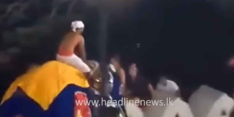 දළදා පෙරහරේ කුලප්පු වෙච්ච අලියා එද්දී මිනිස්සු නුවර වැවට පනින වීඩියෝව මෙන්න! VIDEO I Sri Lanka Latest News