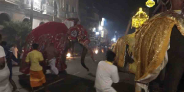 Sri Lanka Latest News