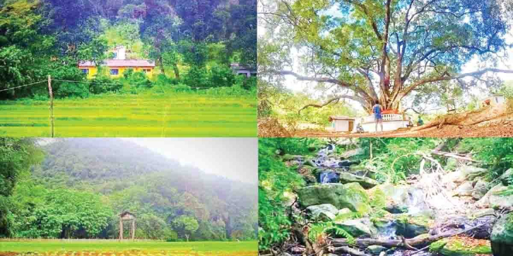 Sri Lanka Latest News
