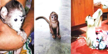 Sri Lanka Latest News