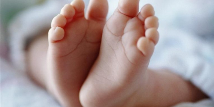 බිළිඳු මළ සිරුරක කොටස් යාපනයෙන් හමුවෙයි! Sri Lanka Latest News