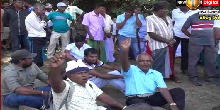 වගාවට වතුර ඉල්ලා වළවේ ගොවීන් සමනල වැවේ දොරටු ළඟට එයි! හදිසියේම පොලිසිය රැකවල් දමයි! ‘අ‌පේ වතුර අපිට දියව්! කෘෂිකර්මාන්තයට කෙළවපු එකෙකුටවත් හරියන්නේ නෑ!’ VIDEO I Sri Lanka Latest News
