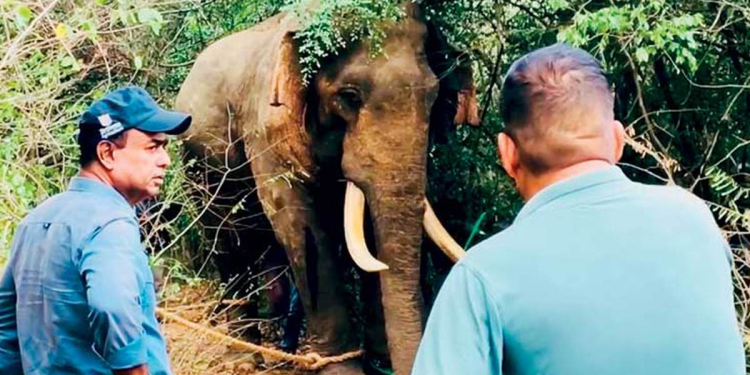 අග්බෝගේ සෞඛ්‍ය තත්ත්වය තරමක් යහපත්! ඒත් අවදානම තවම පහව ගොස් නෑ! Sri Lanka Latest News