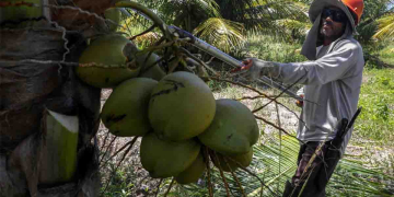 රනිල් අලුත් ත්‍රිකෝණයක් හදන වැඩේ රමේෂ්ට බාර දෙයි! Sri Lanka Latest News