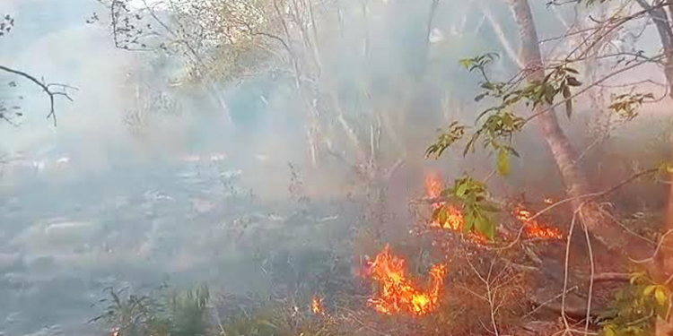 රන්දෙණිය කඳු රක්ෂිතයට දඩයක්කරුවන් ගිනි තියලා! අක්කර 20ක් විනාශයි! Sri Lanka Latest News