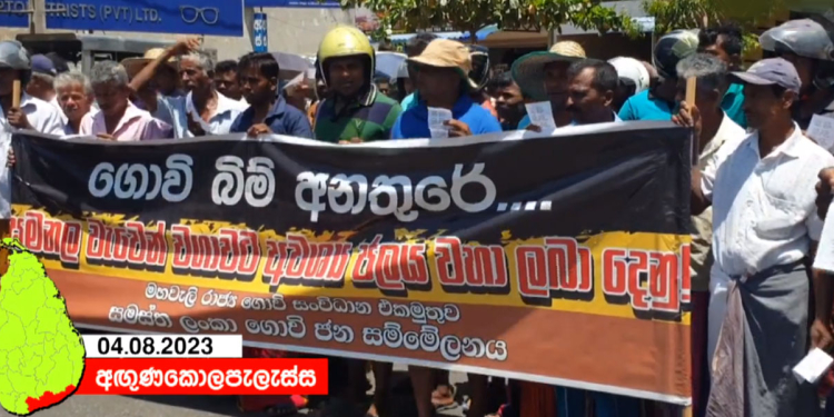 වගා කරන්න වතුර ඉල්ලා ගොවීන් මහ පාරට බහී! කෘෂි ඇමැතිගේ නිවස ඉදිරිපිටත් උද්ඝෝෂණ! VIDEO I Sri Lanka Latest News