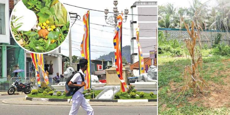දිවි නසා ගත් සිසුවියක් පාදුක්කේ පාසලක හොල්මන් කරන කතාවකින් පාසලම කැළඹෙයි! ගුරුවරියක් දැකලා ගෙදර තොවිල් කරලා! ළමයිනුත් දැකලා කෑ ගහලා! විදුහල්පතිත් මාධ්‍යයට කතා කරයි! I Sri Lanka Latest News