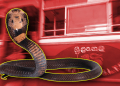යාපනය – වවුනියාව බස් එකක් ඇතුළේ විශාල නයෙක්! මගීන් බසයෙන් බැස සීසීකඩ දුවයි! Sri Lanka Latest News