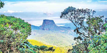 Sri Lanka Latest News