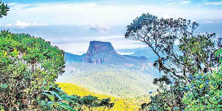 Sri Lanka Latest News