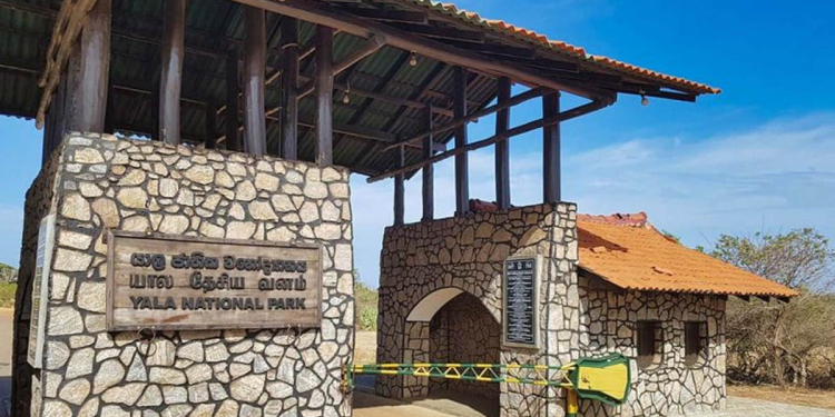 පෑවිල්ල දරුණු නිසා උඩවලව සහ යාල වනෝද්යාන වසාදමන සූදානමක්! Sri Lanka Latest News