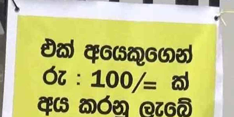 දඹුල්ල ආර්ථිකේ කැකිරි කිලෝව 20යි! චූ කරන්න රුපියල් 100යි! චූ කරන්න නම් ගොවියෙක්ට කැකිරි කිලෝ 5ක් විකුණන්න ඕනෑ! VIDEO I Sri Lanka Latest News