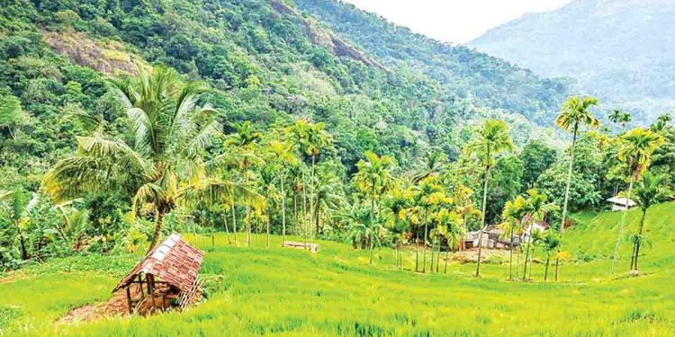 Sri Lanka Latest News