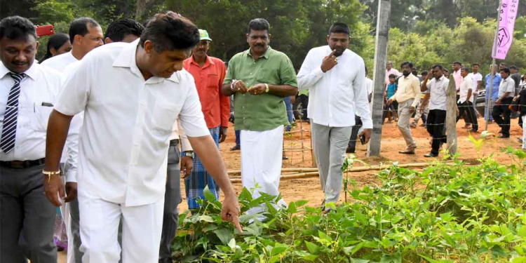 ඉස්කෝල දරුවන්ට බස් දුන්නා! ස්මාර්ට් පන්ති කාමර දුන්නා! ඉස්පිරිතාලවලට වෛද්‍ය උපකරණ-ඖෂධ දුන්නා! විපක්ෂනායක සජිත් ඉරිදා ඉඳන් ‌ලක්ෂ සංඛ්‍යාත ගොවීන්ට වතුර දෙන්න දැවැන්ත ව්‍යාපෘතියක් පටන් ගන්නවා! I Sri Lanka Latest News