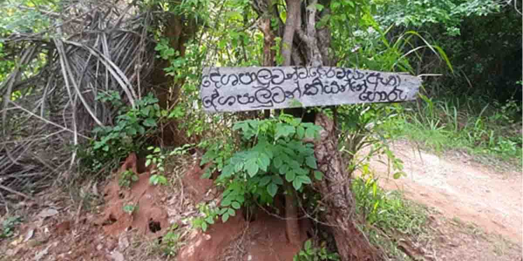 ‘දේශපාලුවන්ට දොර වසා ඇත! දේශපාලුවන් කියන්නේ හොරු!’ තණමල්විල ගමක ප්රසිද්ධියේ බෝඩ් එකක් දමයි! I Sri Lanka Latest News