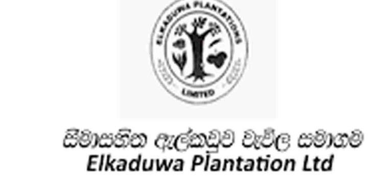 රුපියල් 400ක ගම්මිරිස් කිලෝ 2කට නඩු කියන්න ඇල්කඩු සමාගම අවුරුදු 6ක් තිස්සේ ලක්ෂ 274ක් වියදම් කරලා! චෝදනාවලින් දෙවරක්ම වැරදිකරු වූ අයකුට GM තනතුරත් දීලා! ආණ්ඩුවෙයි විපක්ෂයෙයි මන්ත්රීවරු කෝප් එකේදී ඇල්කඩුව වතුයායේ හොඳ හොඳ කෙළි එකින් එක එළියට අදී! VIDEO I Sri Lanka Latest News