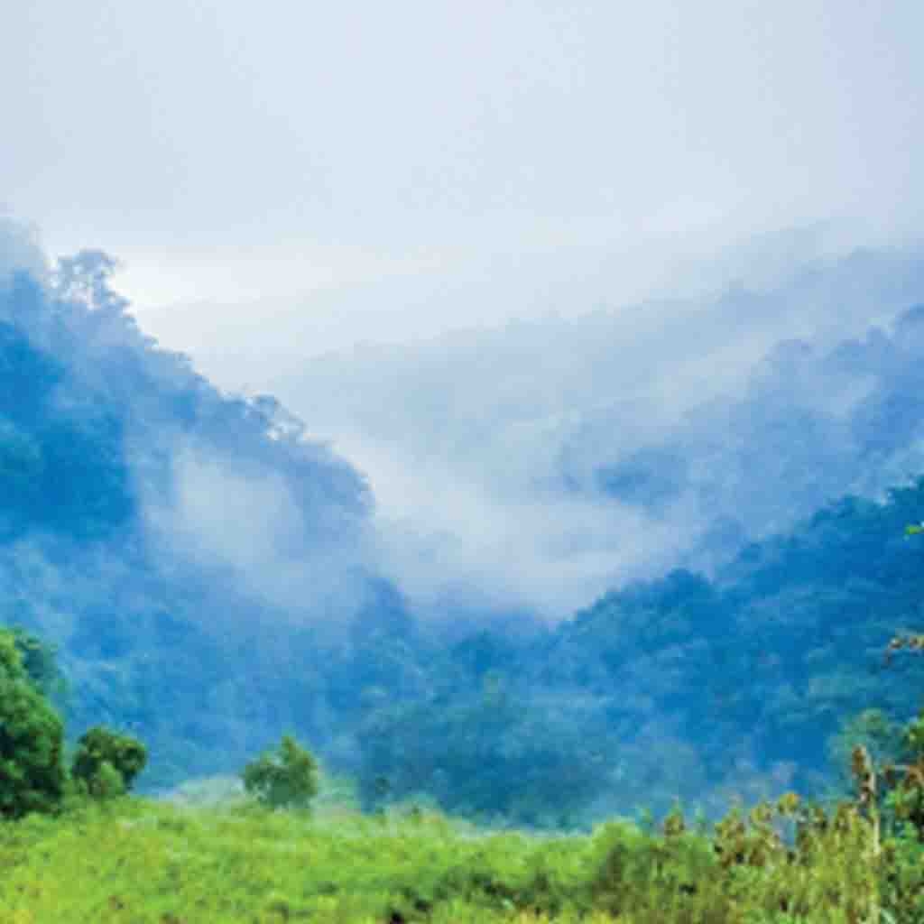 Sri Lanka Latest News