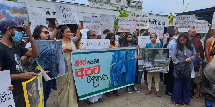 අලි මරන්න එපා! අලින්ට ආදරේ අය අද කොටුවට ඇවිත් අලි උද්ඝෝෂණයක! VIDEO & PHOTOS I Sri Lanka Latest News