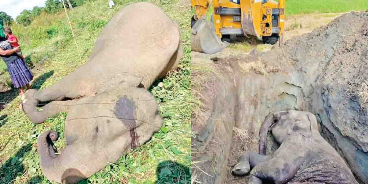 Sri Lanka Latest News