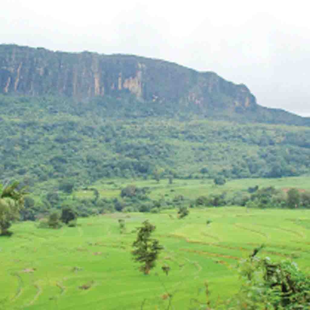 Sri Lanka Latest News