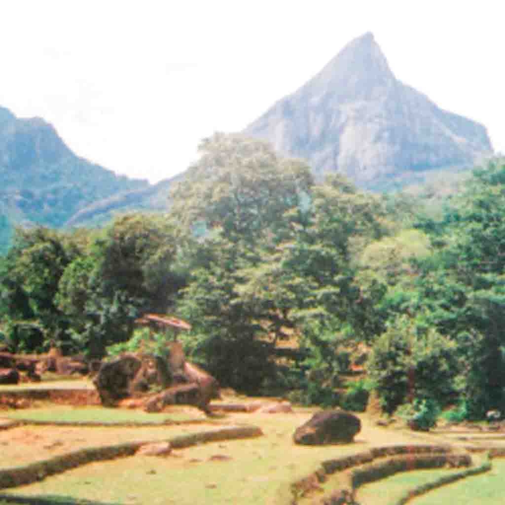 Sri Lanka Latest News