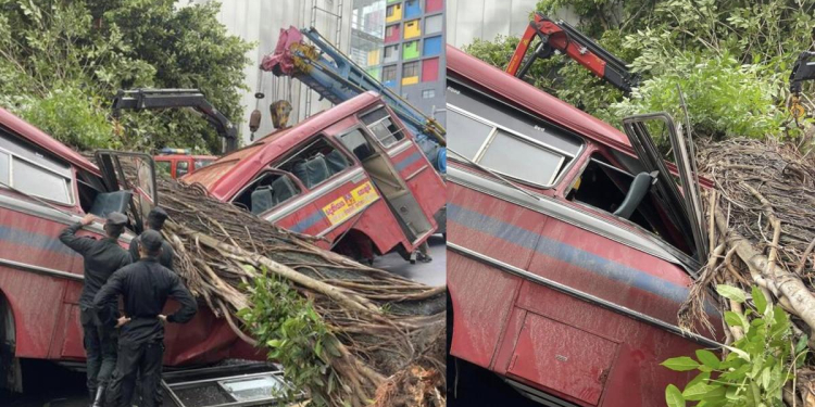 කොල්ලුපිටියේදී බස් රථයක් මතට මහා ගසක් කඩාවැටෙයි! මගීන් 5ක් මරුට! VIDEO I Sri Lanka Latest News