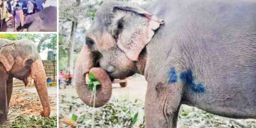 Sri Lanka Latest News