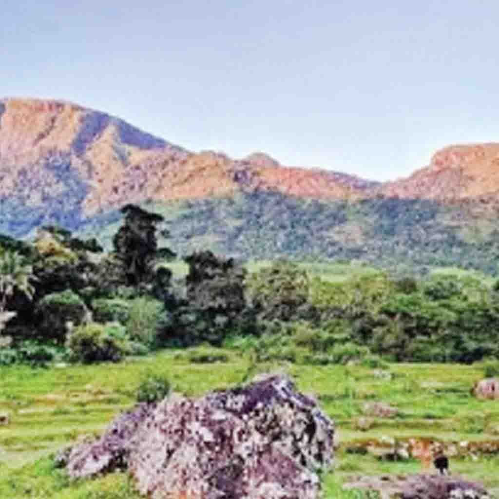 Sri Lanka Latest News